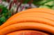 Шланг садовый Tecnotubi Orange Professional для полива диаметр 1/2 дюйма, длина 50 м (OR 1/2 50)