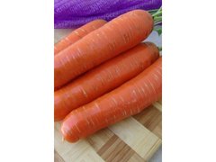 Семена моркови ранней (Нантес) Кнота F1