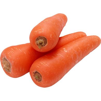 Семена моркови Абако (Abaco) Seminis (фракция 1,8-2,0)