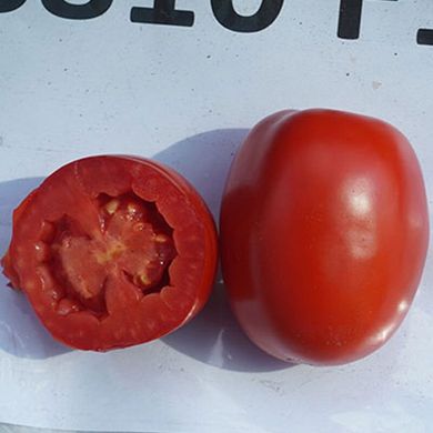 Семена томата среднего ЖАГ 8810 F1 (ЯГ 8810 F1)