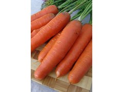 Семена моркови среднеранней Нантес Анета F1