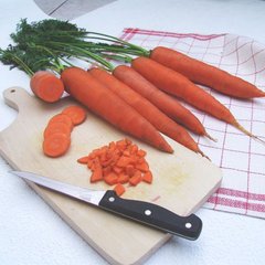 Семена моркови поздней (Флакке) Тинга