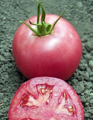 Семена индетерминантного томата Пинк Уникум (Pink Unicum) Seminis