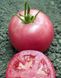 Семена индетерминантного томата Пинк Уникум (Pink Unicum) Seminis