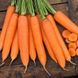 Семена моркови Сиркана F1 (1,6-1,8) Нантес средней