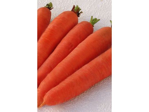 Семена моркови поздней (Нантес) Цидера