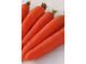 Семена моркови поздней (Нантес) Цидера