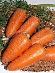 Семена моркови Ройал Шансон (Royal Chanson) Seminis