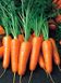 Семена моркови Ройал Шансон (Royal Chanson) Seminis