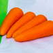 Семена моркови ранней Шантане SV 3118 F1 (ǿ 1,4-1,6)