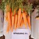 Семена моркови Нантес Брилианс F1 (1,4-1,6) среднепоздней