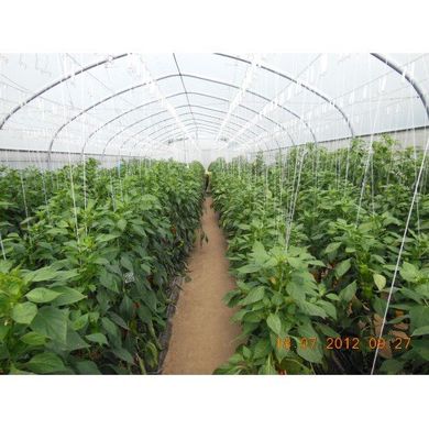 Шпалерная сетка для цветов и вьющихся растений Agreen (белая), ячейка 15х15 см