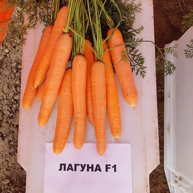 Семена моркови Лагуна F1 (2-2,2) Нантес ультраранней