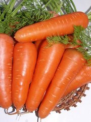 Семена моркови Абако (Abaco) Seminis (фракция 1,6-1,8)