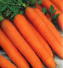 Семена моркови Романс F1 (1,6-1,8) Нантес позднеспелой