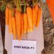 Семена моркови Элеганза F1 (1,6-1,8) Нантес поздней