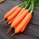 Семена моркови поздней (Берликум) Дарина
