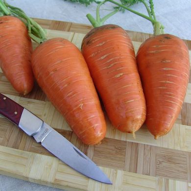 Семена моркови среднепоздней Катрин (Талисман)