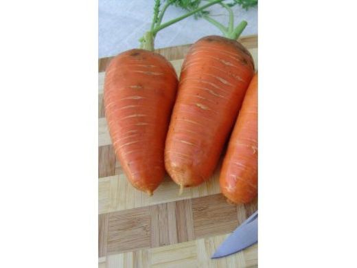 Семена моркови среднепоздней Катрин (Талисман)